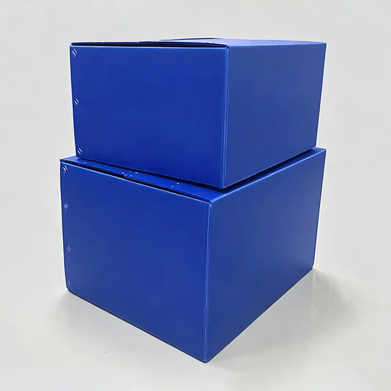 ມາດຕະຖານ PP Hollow Sheet Turnover Box